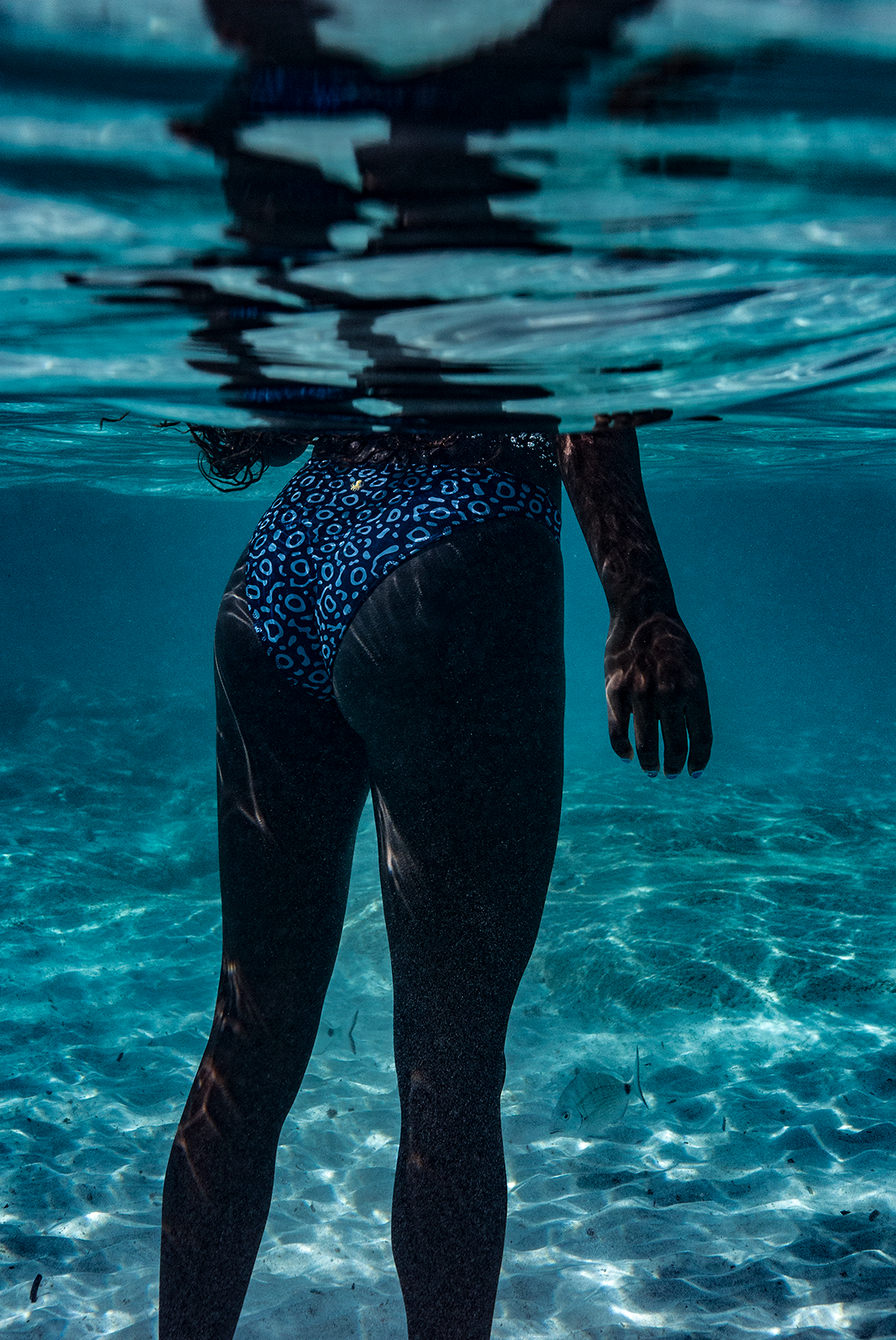 A woman stands partially submerged, with only her lower body visible, wearing the NAUTRA bikini bottoms in the Eagle Ray print. The ocean water shimmers around her.